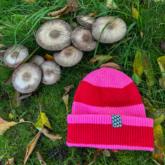 Stripey Beanie ♻️