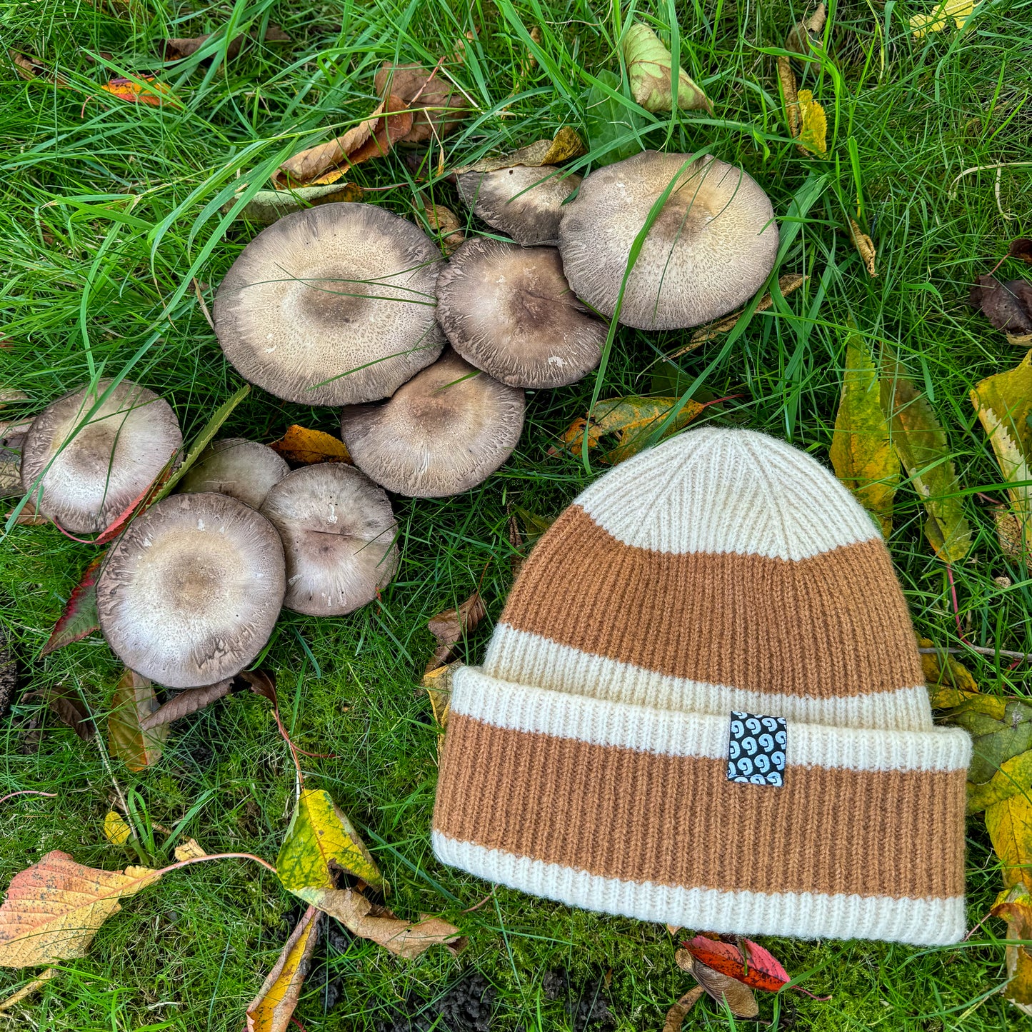 Stripey Beanie ♻️
