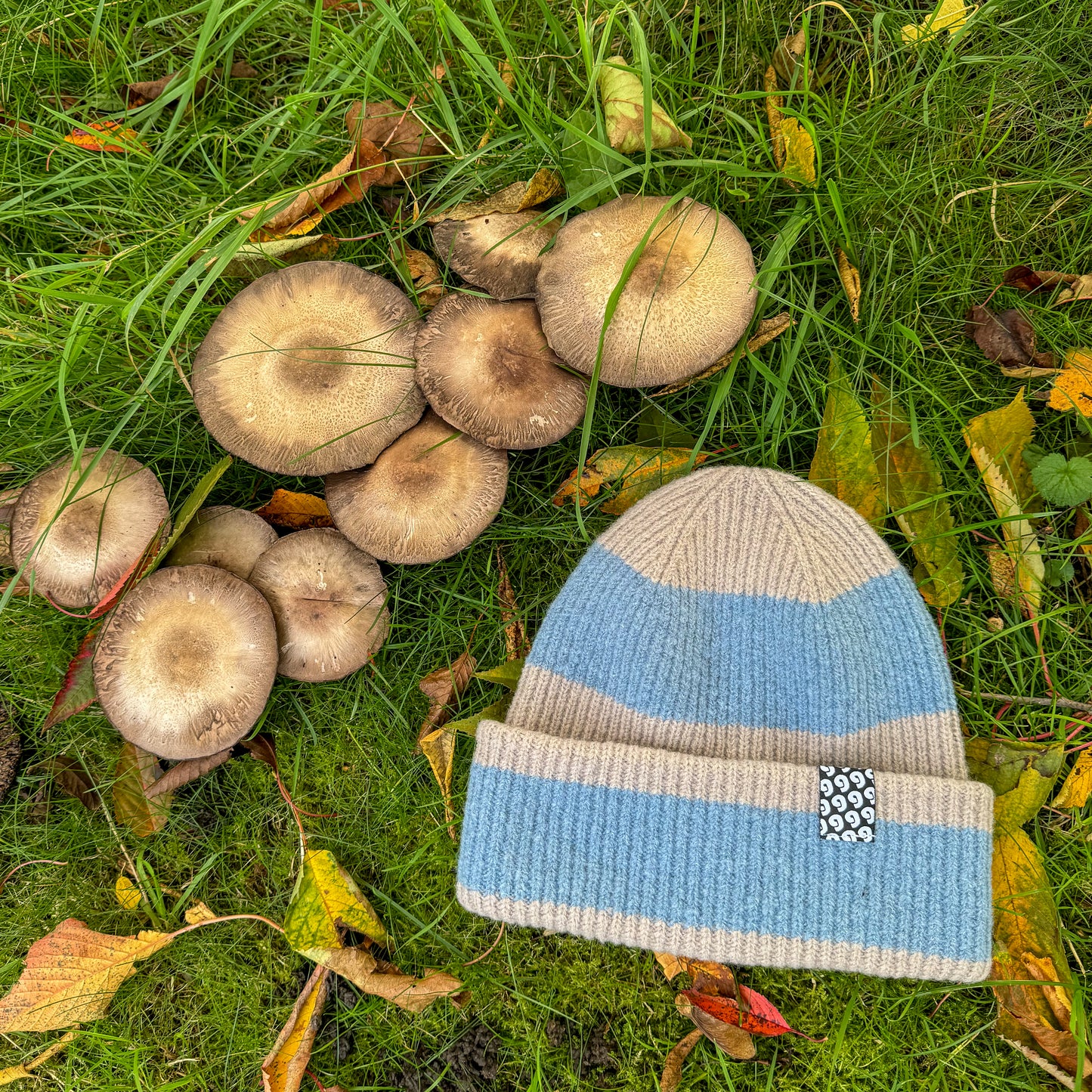 Stripey Beanie ♻️