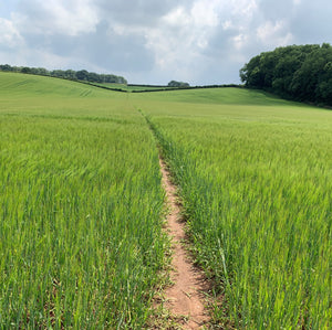 But then the bridleways just stops…